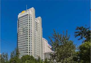 日照环保轻质石膏生产厂家