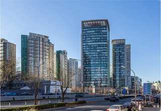 泰州大白鲨银鲨减震胶供应